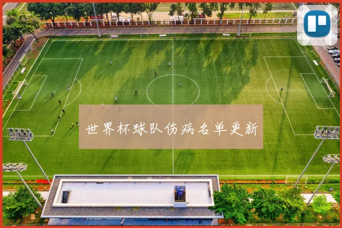 世界杯球队伤病名单更新